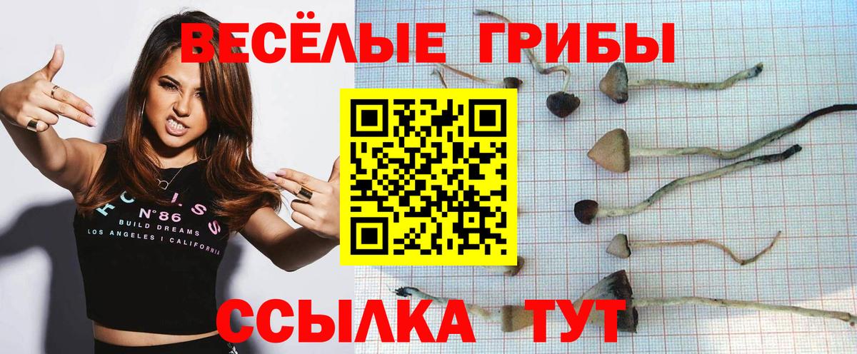 Галлюциногенные грибы MAGIC MUSHROOMS Гурьевск
